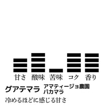 画像をギャラリービューアに読み込む, 【シークレット販売】グアテマラ/アマティージョ農園 浅煎り-冷めるほどに感じる甘さ-