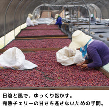 画像をギャラリービューアに読み込む, ニカラグア/ナチュラル-やさしい甘さのナチュラル-