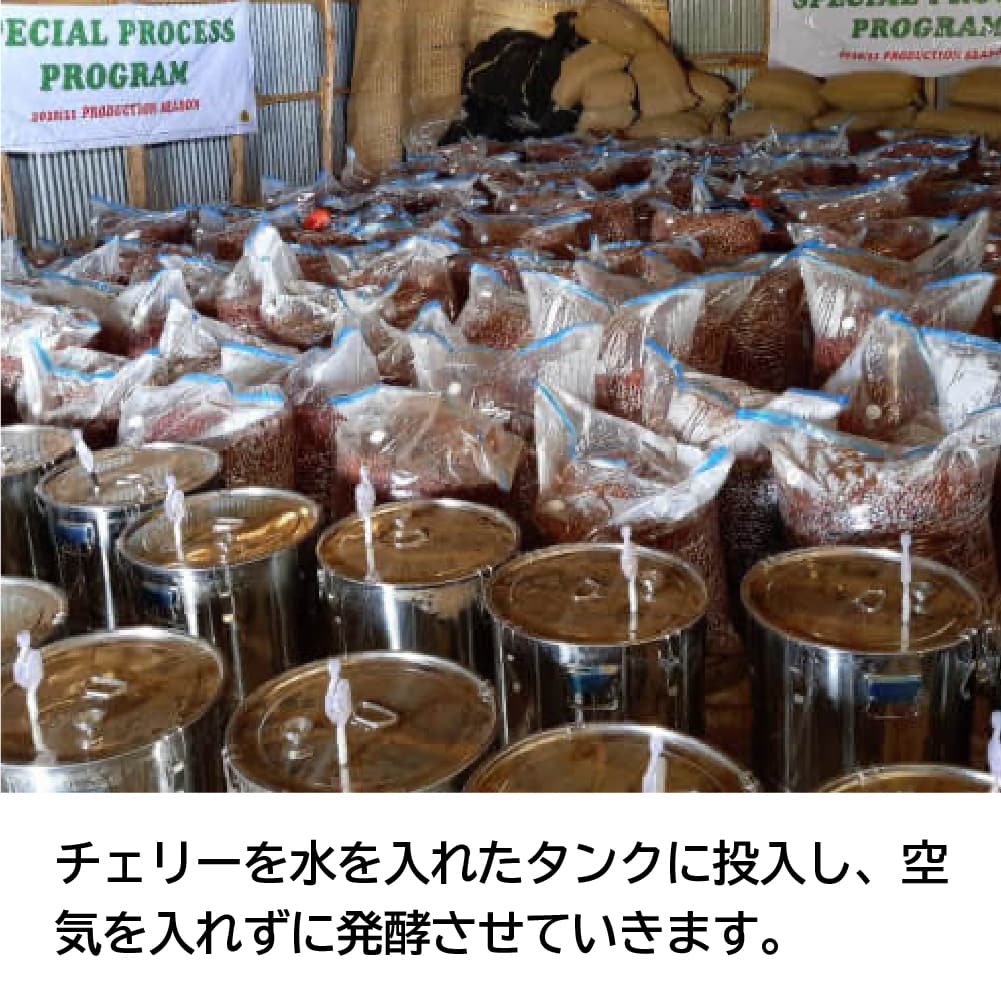 【再入荷】エチオピア/アナエロビック浅煎り-ベリー甘酸っぱさを堪能する-