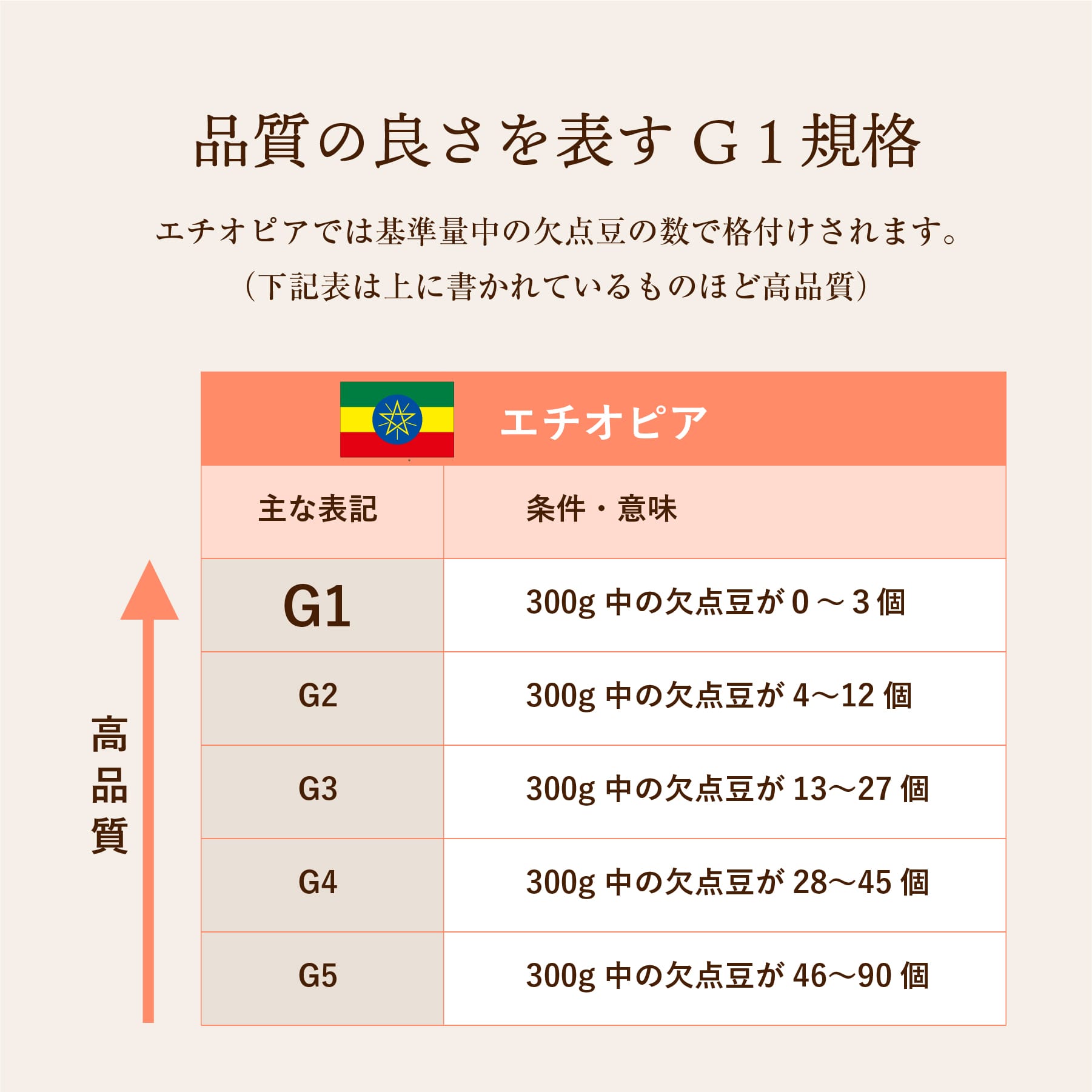 【終了】エチオピア/ゲイシャホワイトリリーG1ウォッシュド-透明感のある上質な香りと酸味-